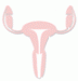 子宮頸がん・子宮体がん・子宮肉腫